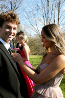 prom-006