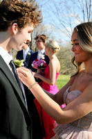 prom-005